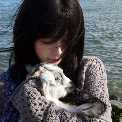 新闻编辑室第三季