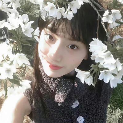 枪与玫瑰：少帅的逃爱游戏